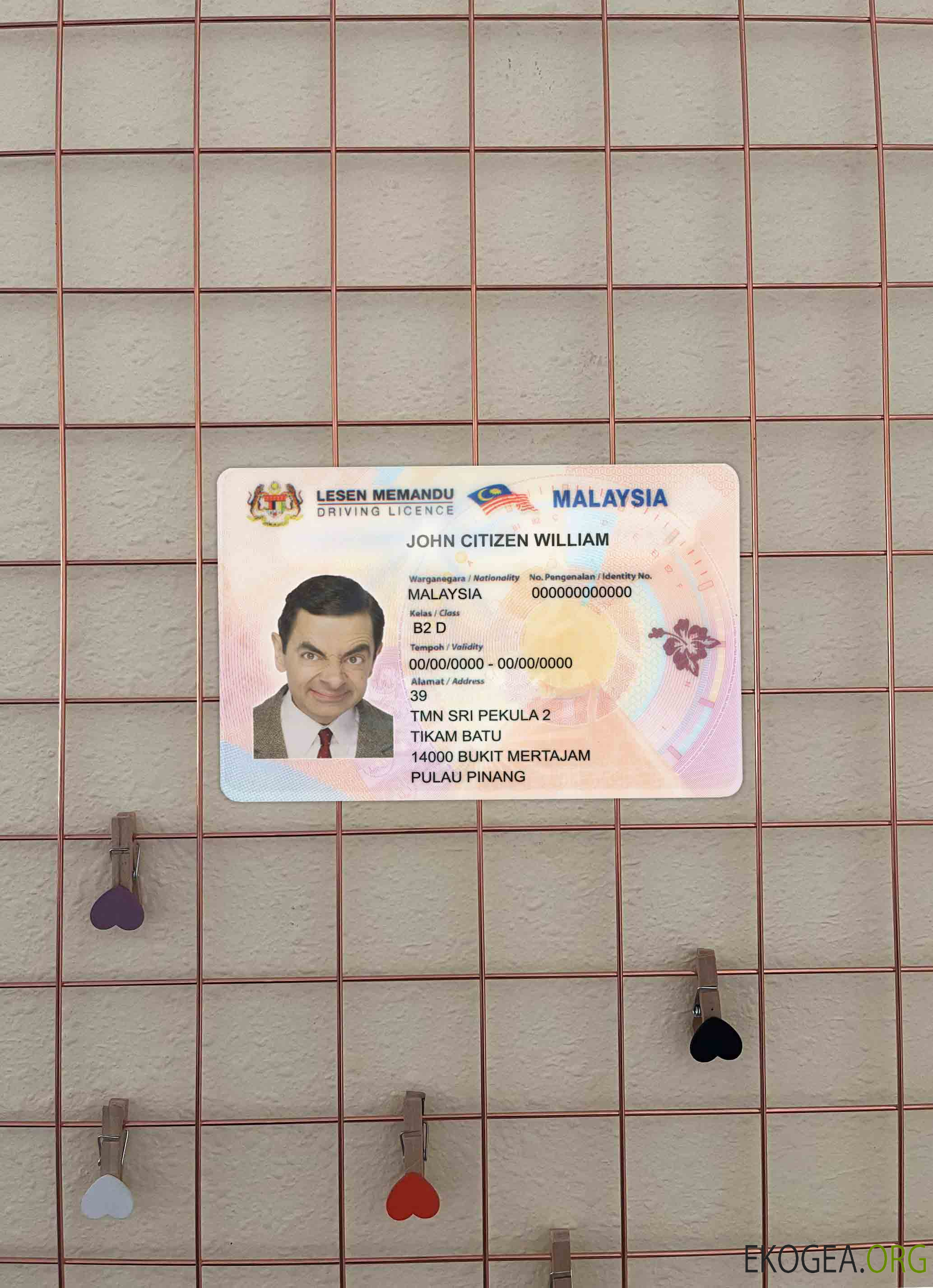 Malaisie DL photolook AVANT